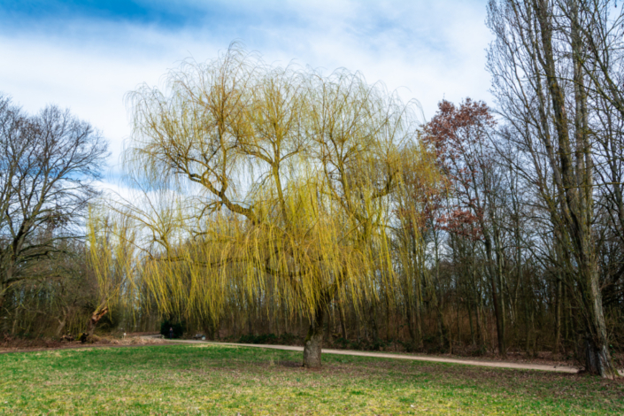 _JWP-20210312-66-1030x687